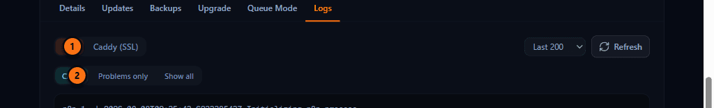 Logs tab showing the service selector (n8n or Caddy), the Problems only / Show all filter, and the line-count selector